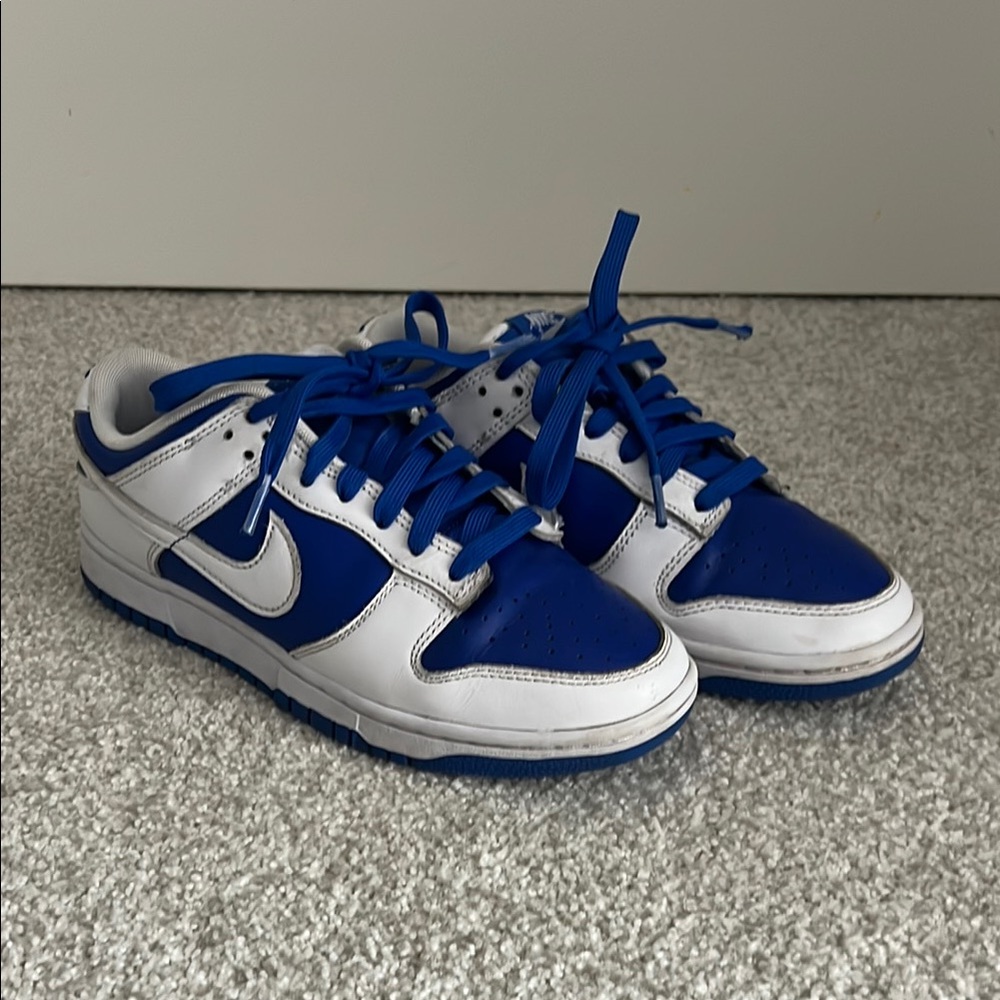 Nike Royal Blue and White Dunks
